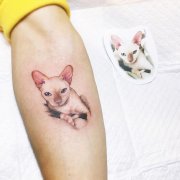 小臂狗狗纹身图案