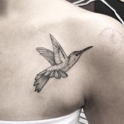 锁骨黑灰蜂鸟纹身图案
