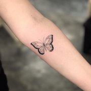 小臂小清新蝴蝶纹身图案