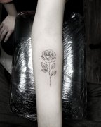 小臂小清新玫瑰纹身图案