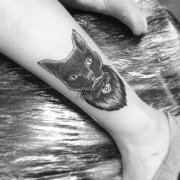 小腿黑灰猫咪肖像纹身图案