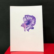 给我一张纸送你一条紫色金鱼纹身手稿
