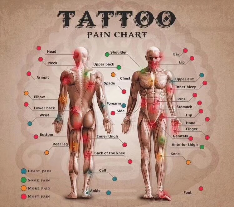 纹身疼痛等级情况表